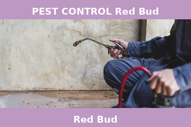 PEST CONTROL Red Bud